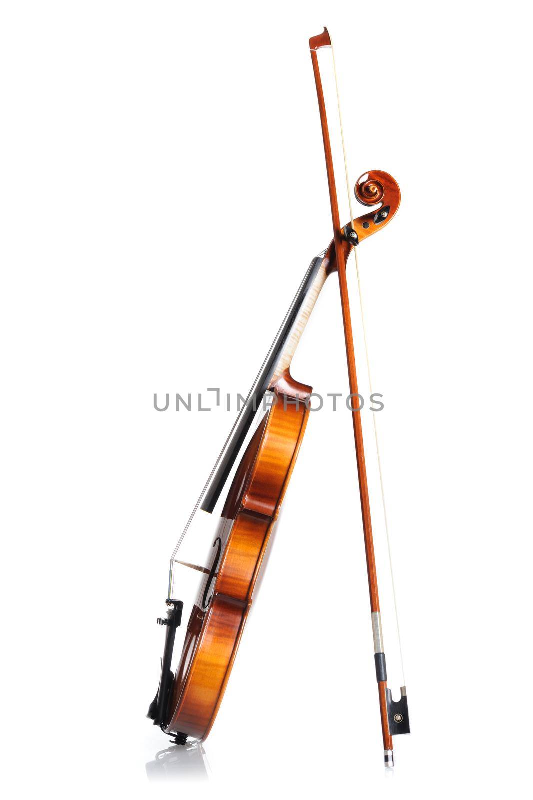 closeup new classical violin on white background