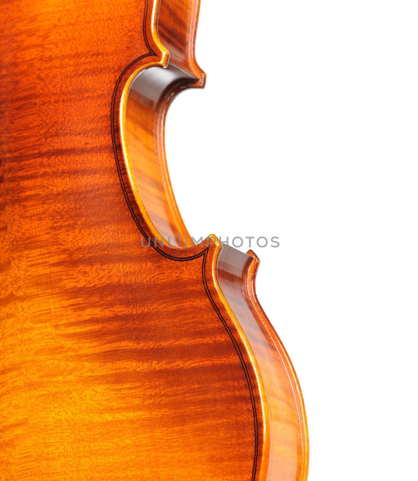 details of classic violin by norgal