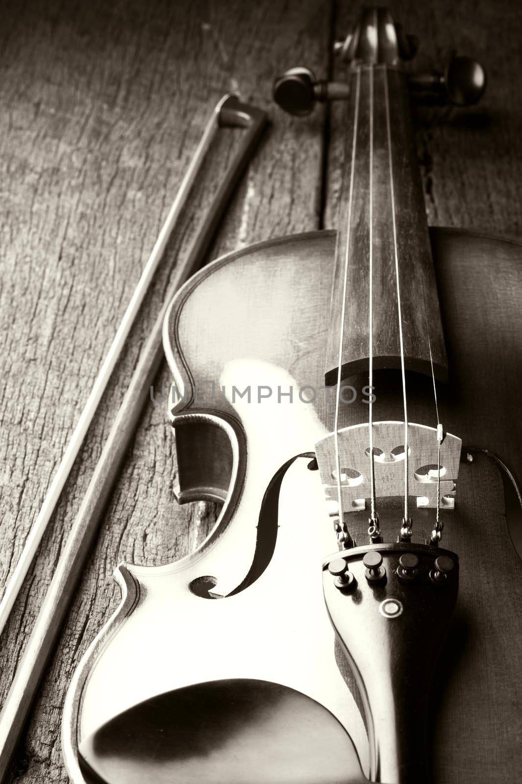 closeup new classical violin on wooden background