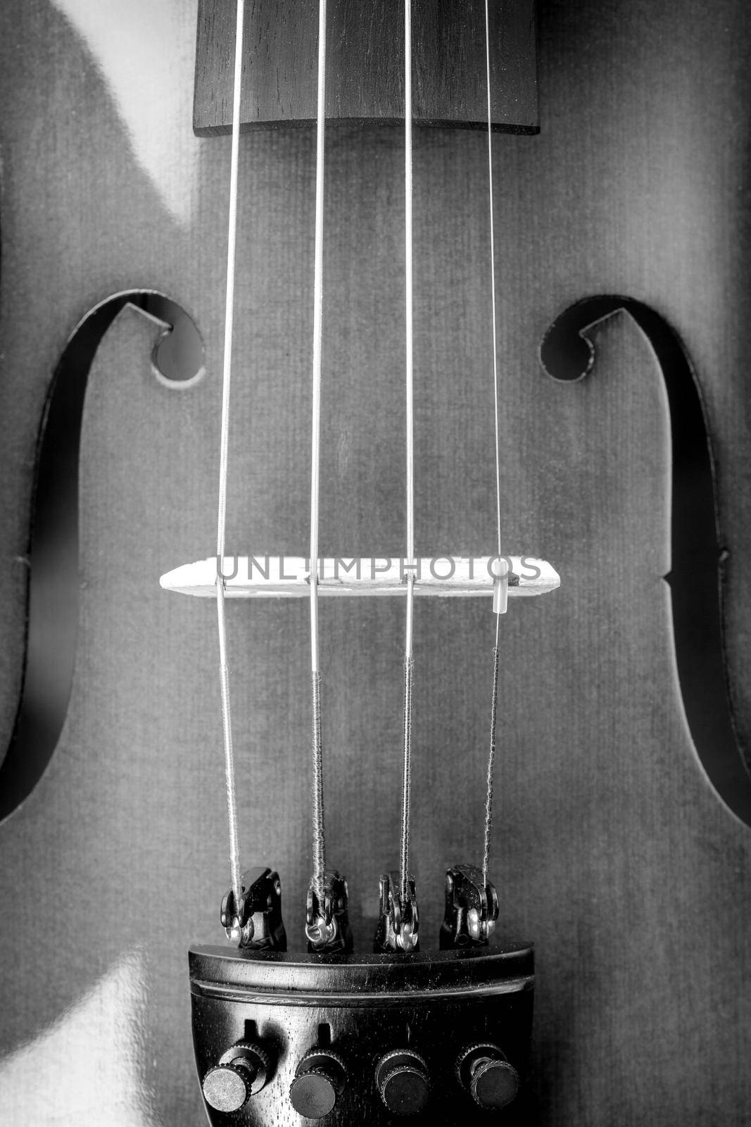 abstract macro shot of classic violin