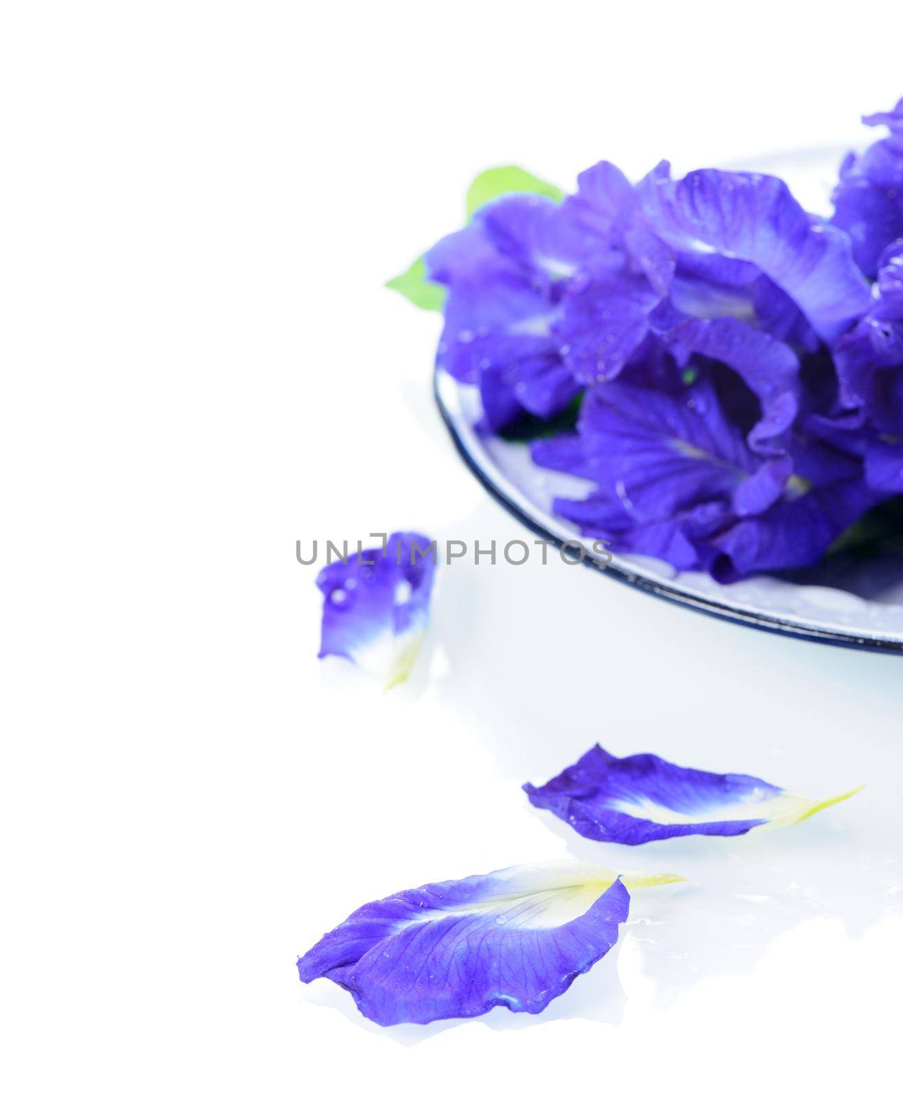 eatable Butterfly pea flowers by norgal