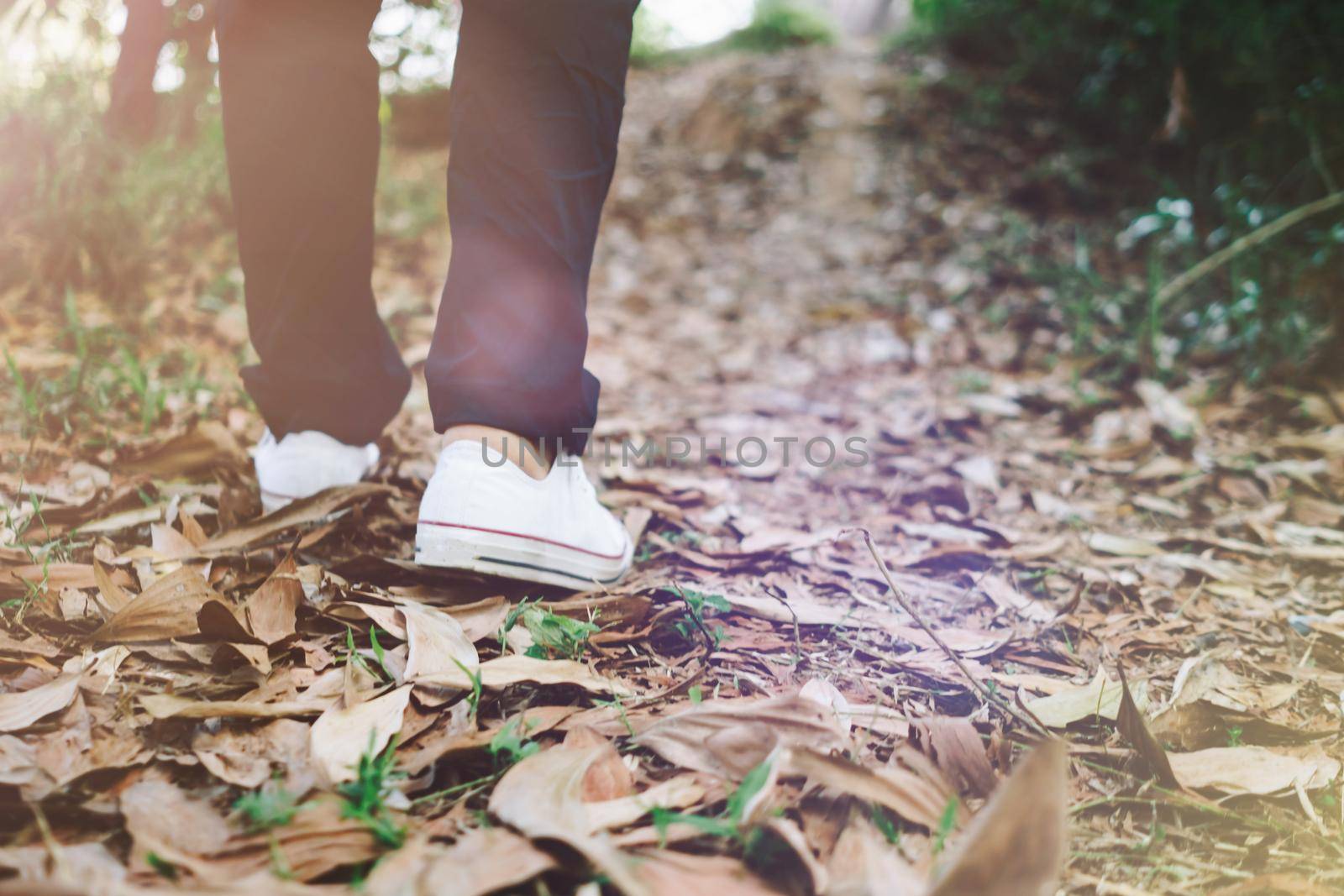 Man is walking into the wood or jungle nature walk way with sunlight.Slow life lifestyle. by Suwant