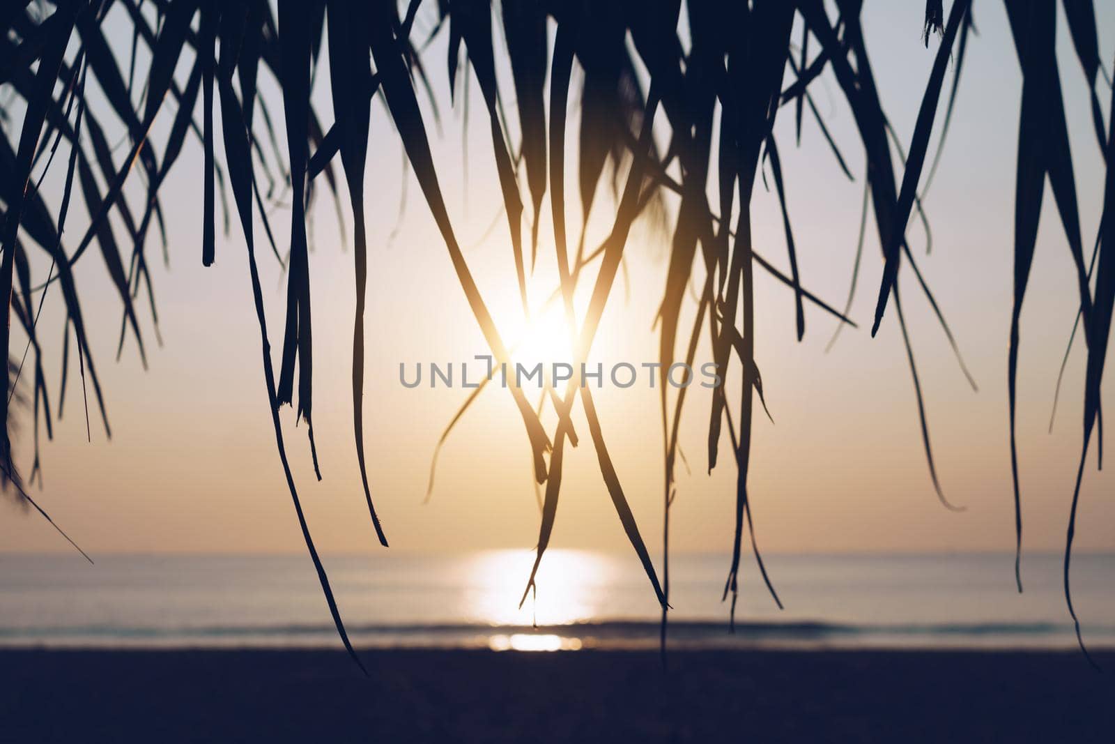 Tropical nature clean beach sunset sky time with sun light by Suwant