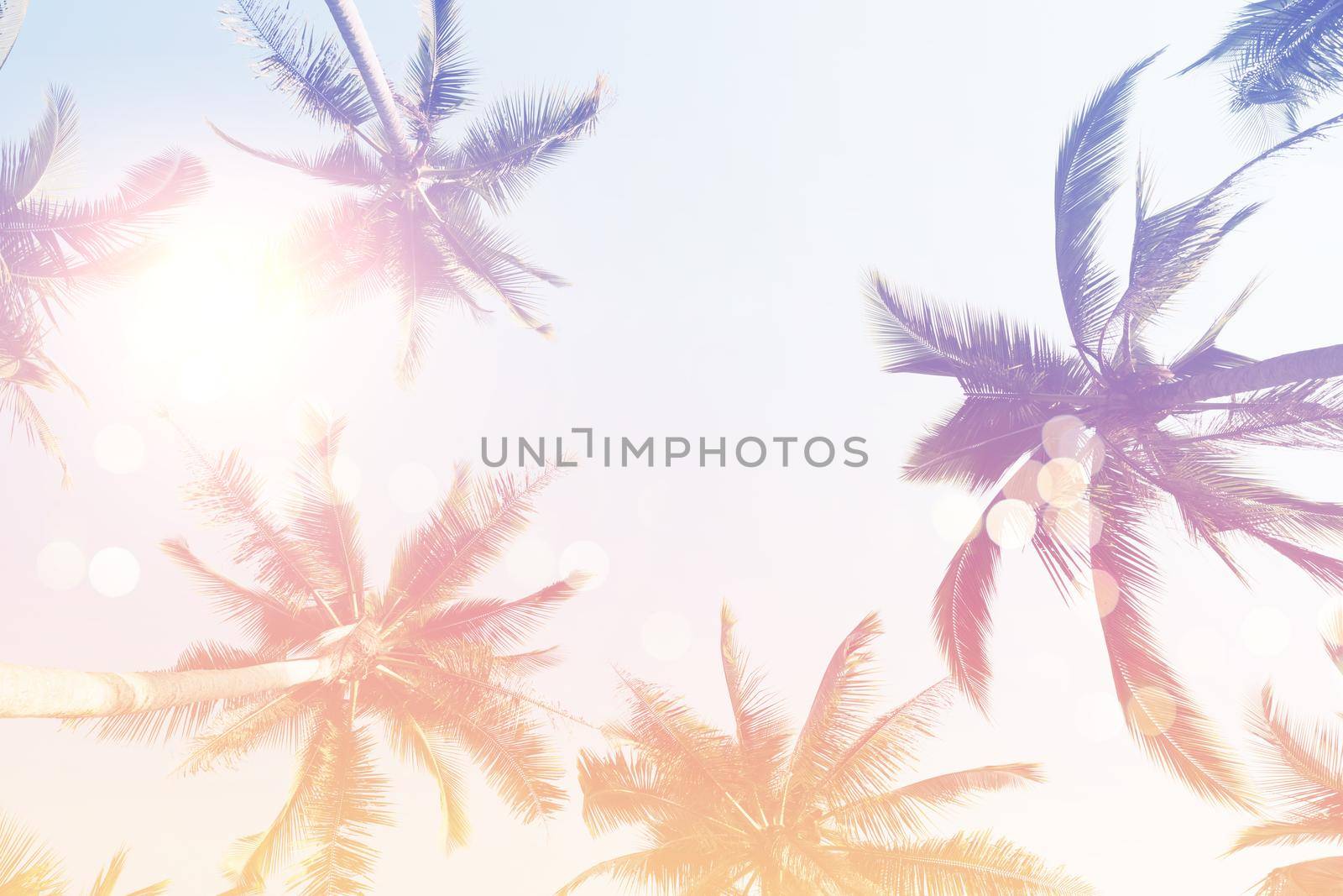 Tropical palm coconut trees on sunset sky flare and bokeh nature colorful copy space summer concept background