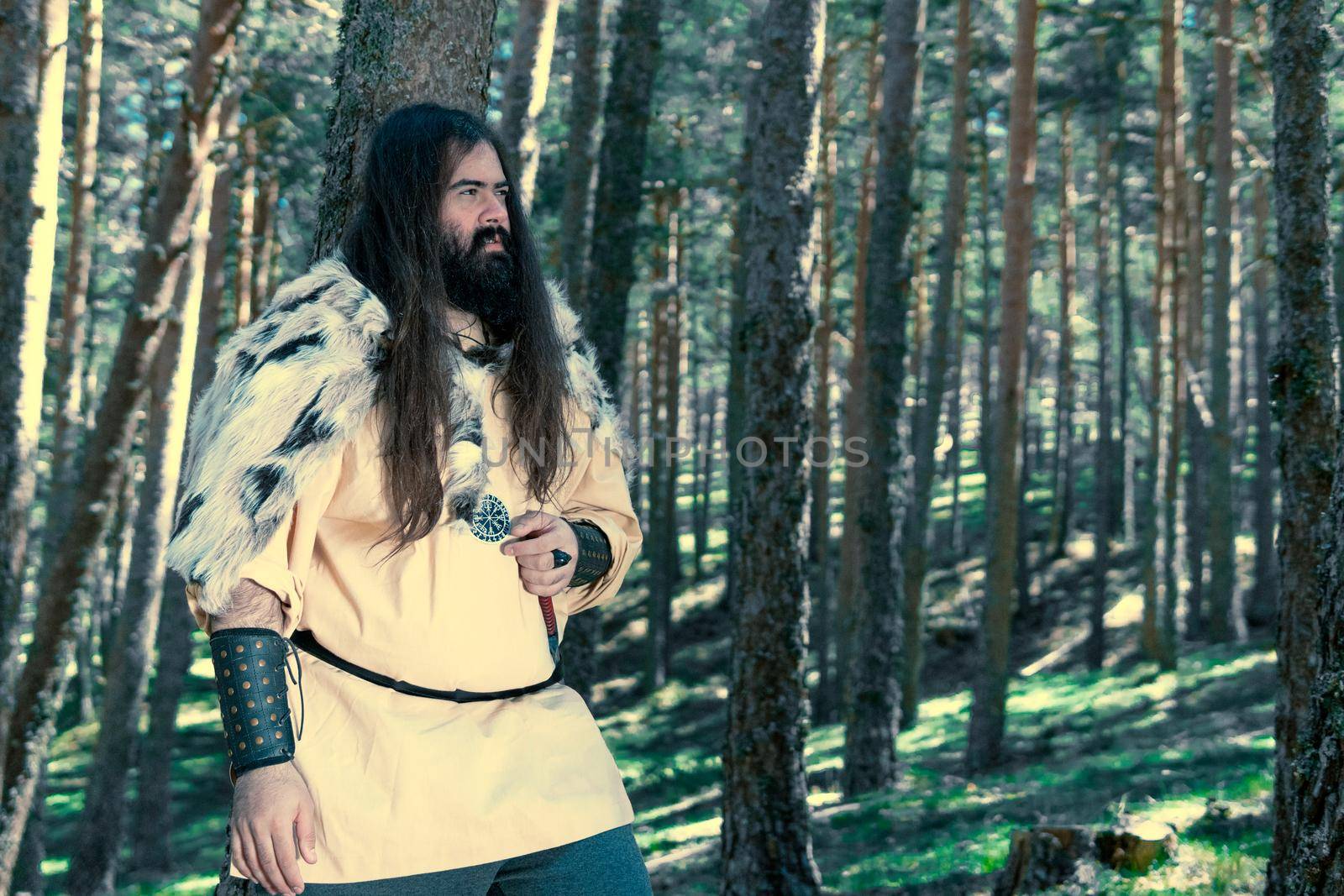 Viking with an angry look on his face in a Norwegian forest. by xavier_photo