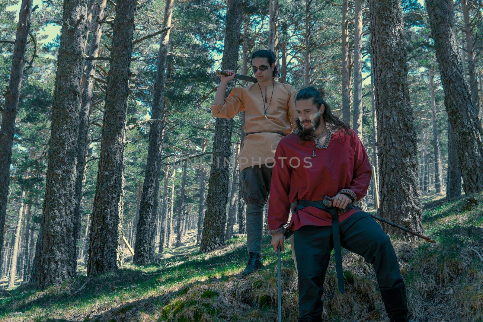 Groups of Vikings ready to go to war by xavier_photo