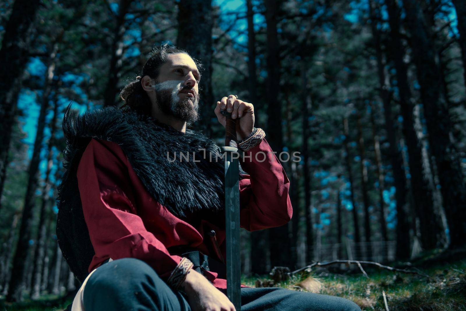 Viking with long beard and sword slung over his shoulder