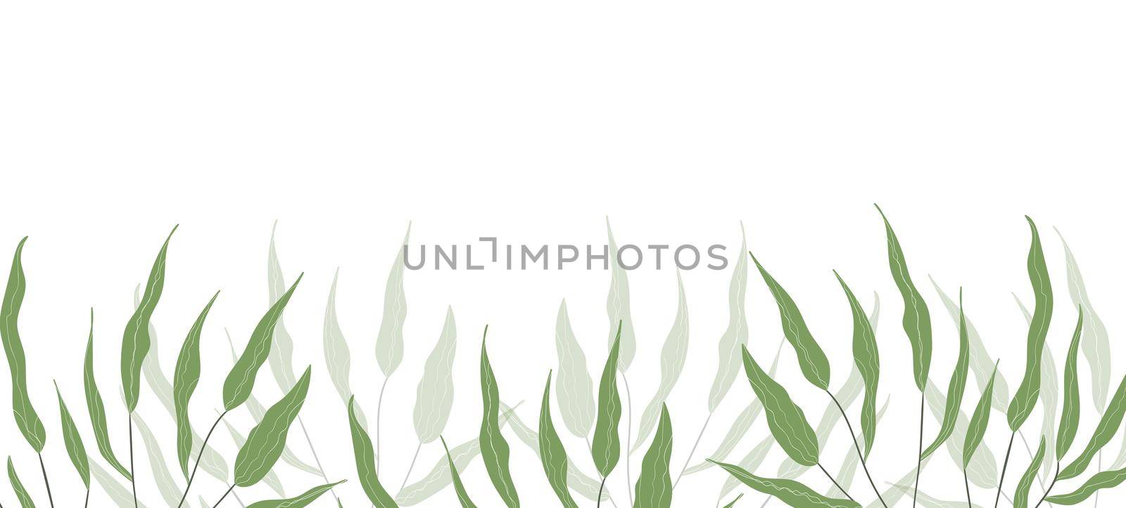 Floral web banner with drawn color exotic leaves. Nature concept design. Modern floral compositions with summer branches. Vector illustration on the theme of ecology, natura, environment.