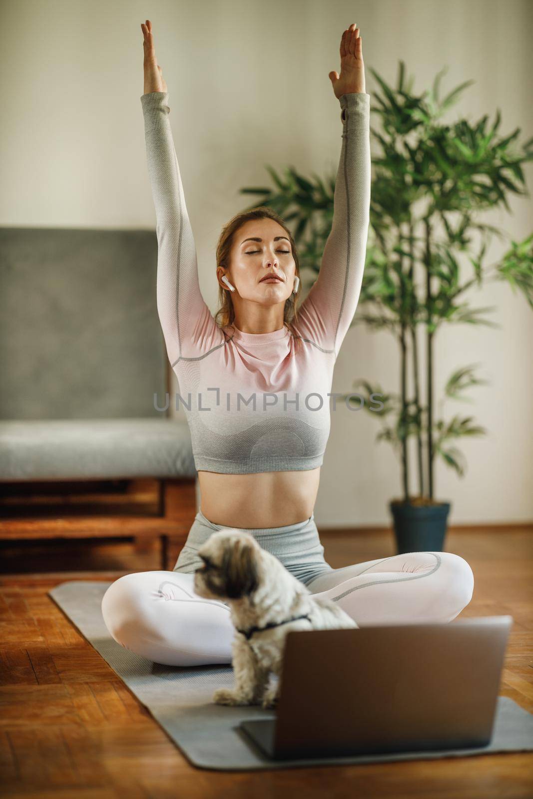 An attractive young woman using laptop while practicing yoga inside of a studio supporting by her pet dog.
