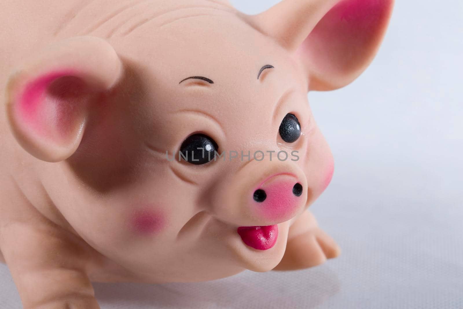 Rubber toy pig closeup. Pig muzzle