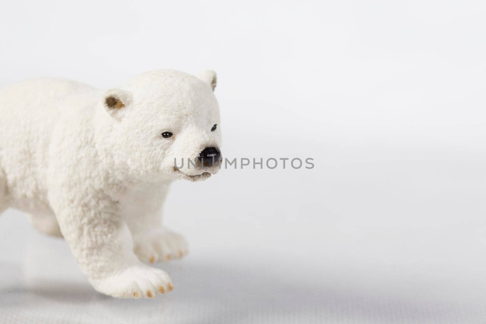 Toy polar bear on a white background. Big bear face