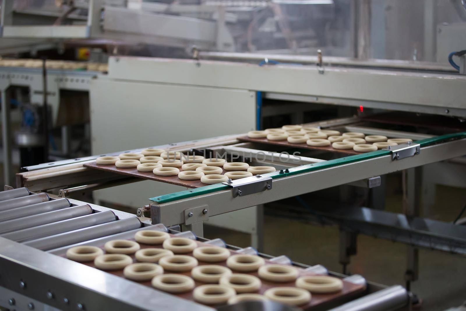 Industrial line for the production of biscuits and bagels. Conveyor belt for the production of culinary products
