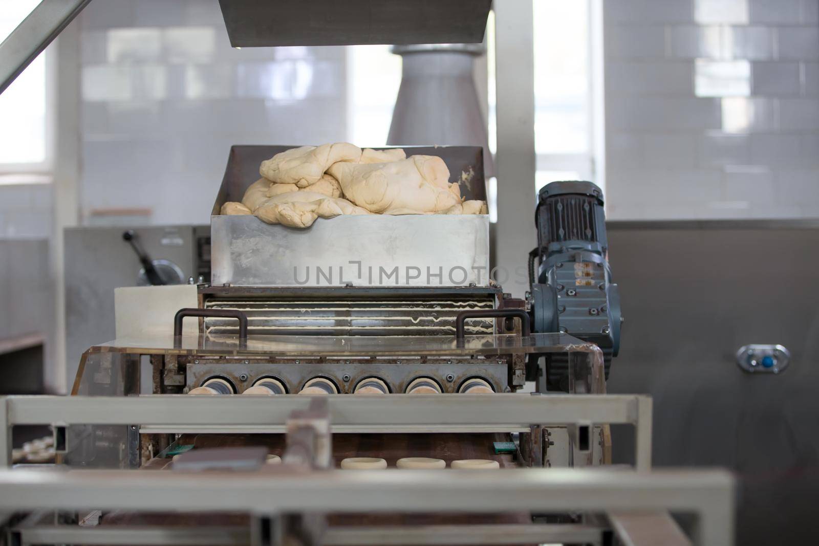 Industrial line of bakery products from yeast dough. Yeast dough in the rear
