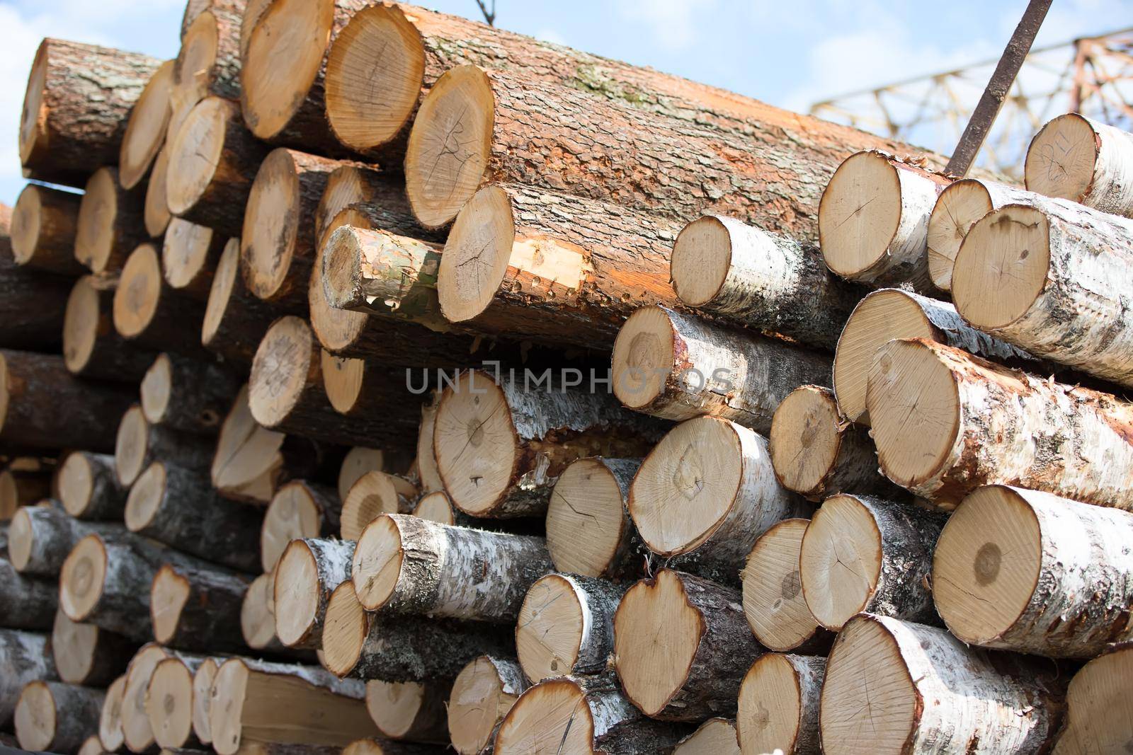 Logs