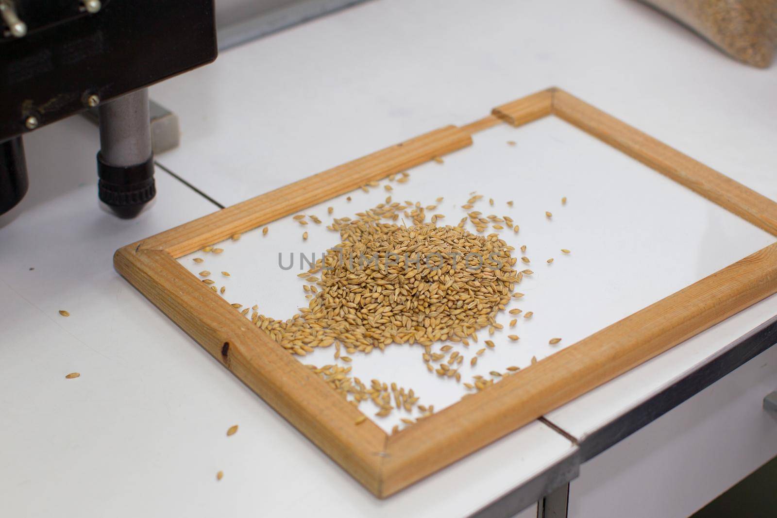 Laboratory research of grain