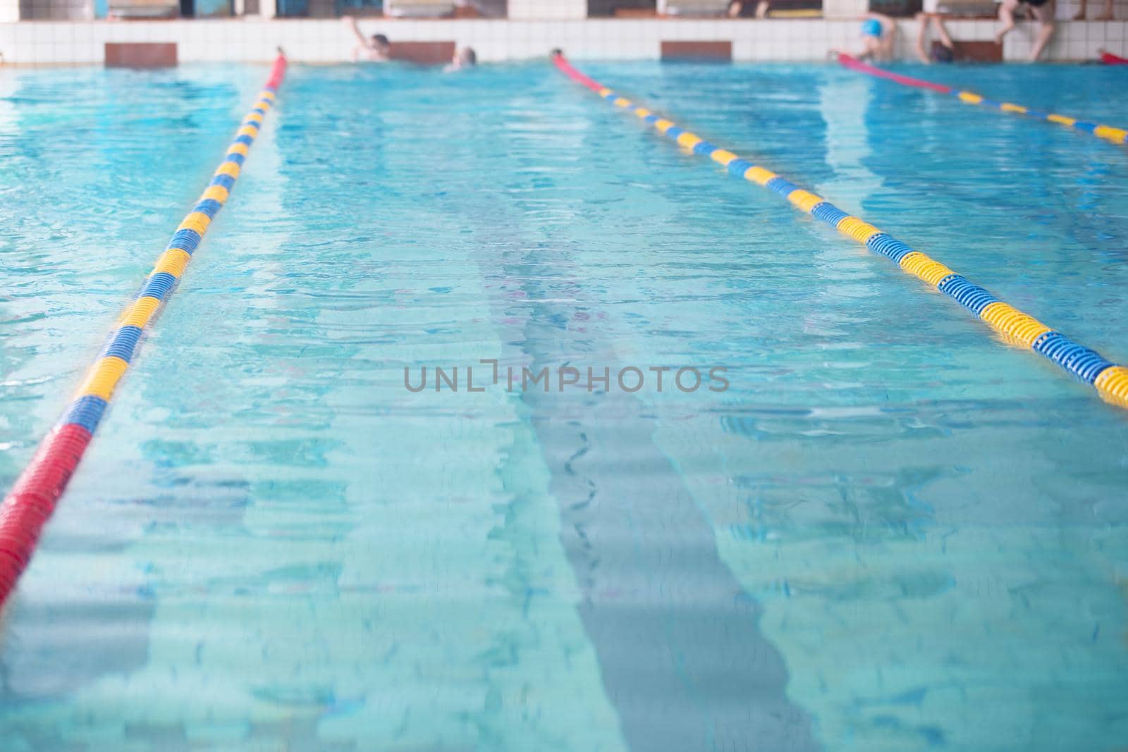 Lanes of a competition swimming pool