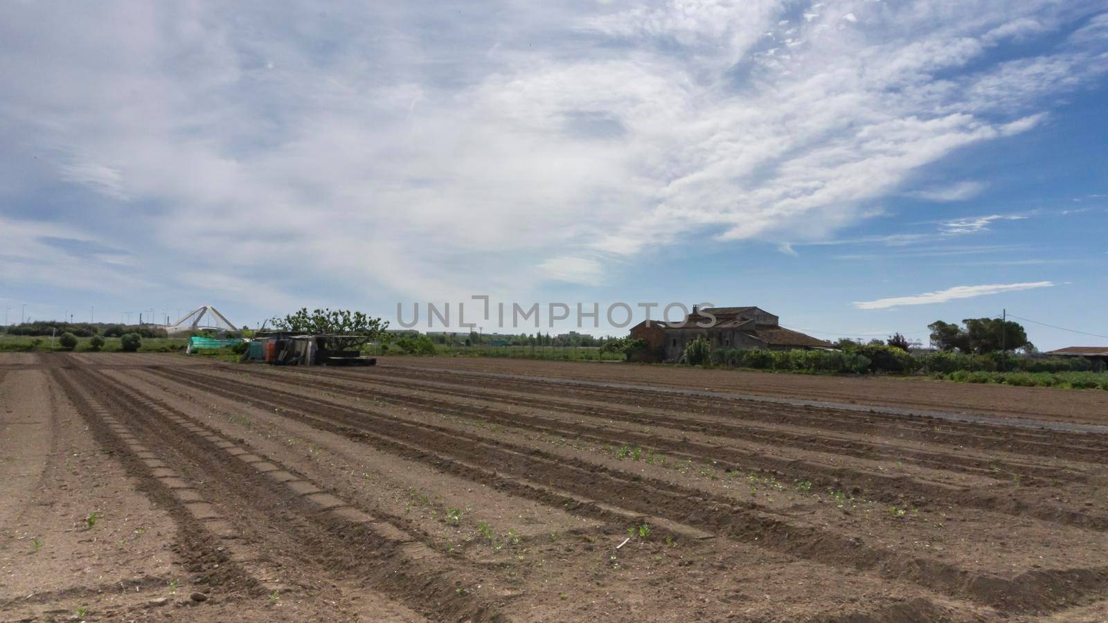 field dedicated to growing vegetables on a farm on the outskirts of Barcelona in Spain