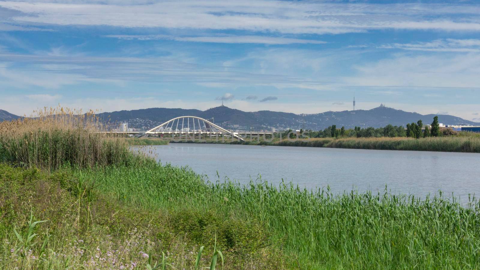 View of the mountain of Barcelona from a natural park on the outskirts of the city. El prat del llobregat