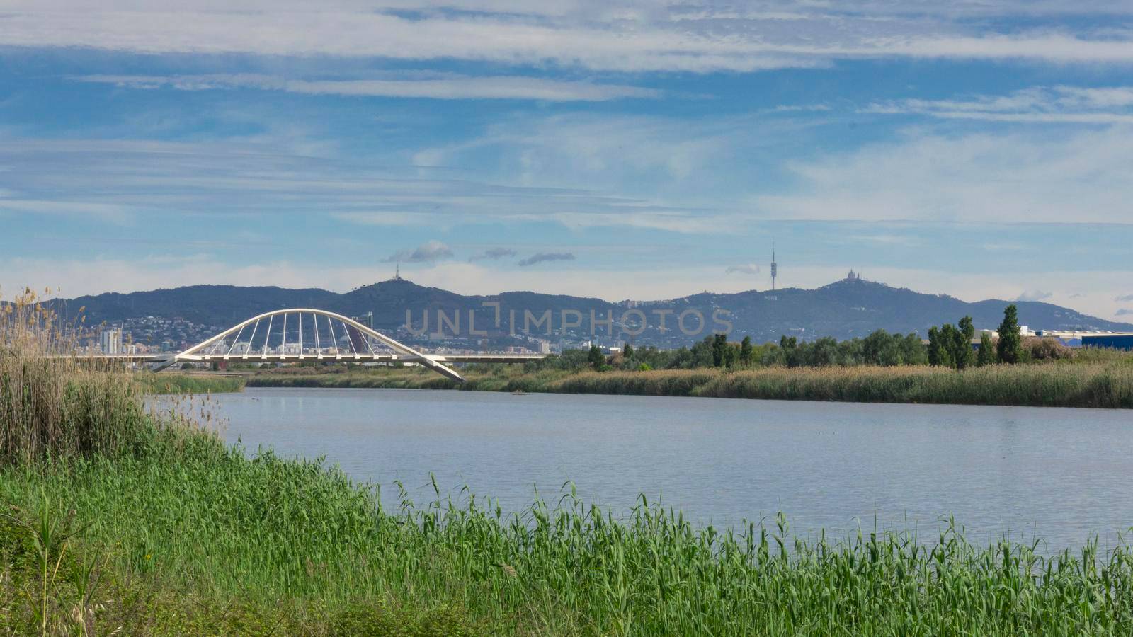 View of the mountain of Barcelona from a natural park on the outskirts of the city. El prat del llobregat