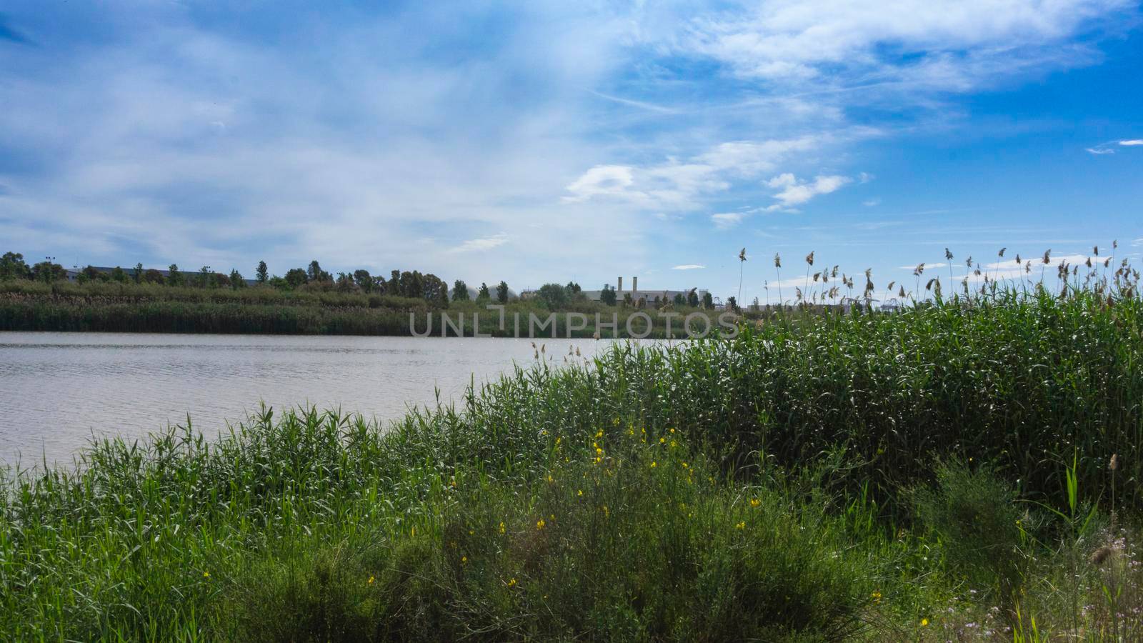 natural park on the outskirts of the city of barcelona in spain. El prat del llobregat