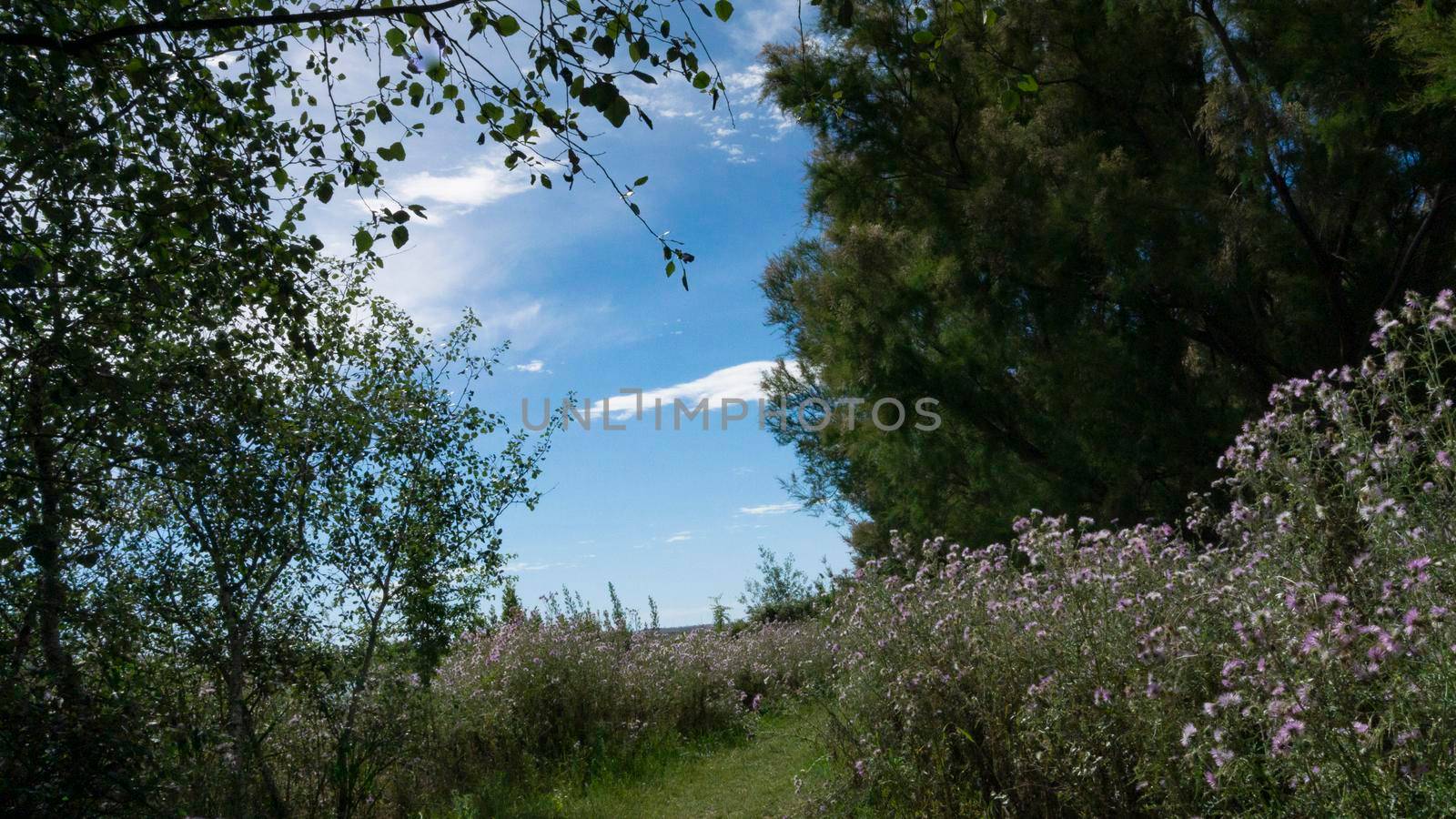 natural park on the outskirts of the city of barcelona in spain. El prat del llobregat