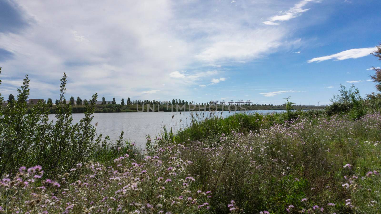 natural park on the outskirts of the city of barcelona in spain. El prat del llobregat