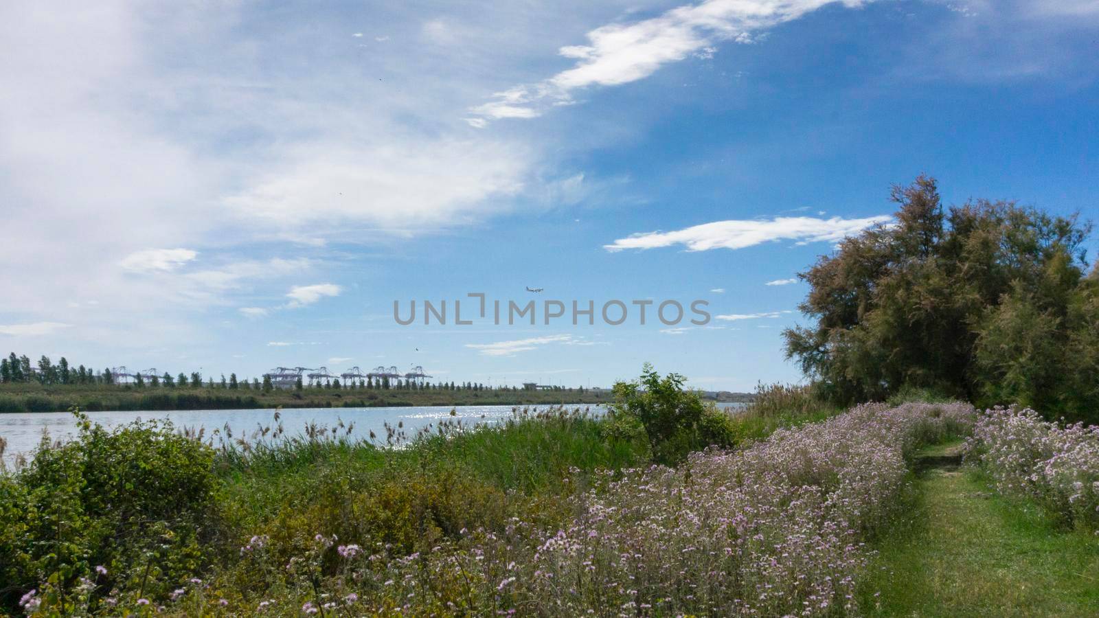 natural park on the outskirts of the city of barcelona by loopneo