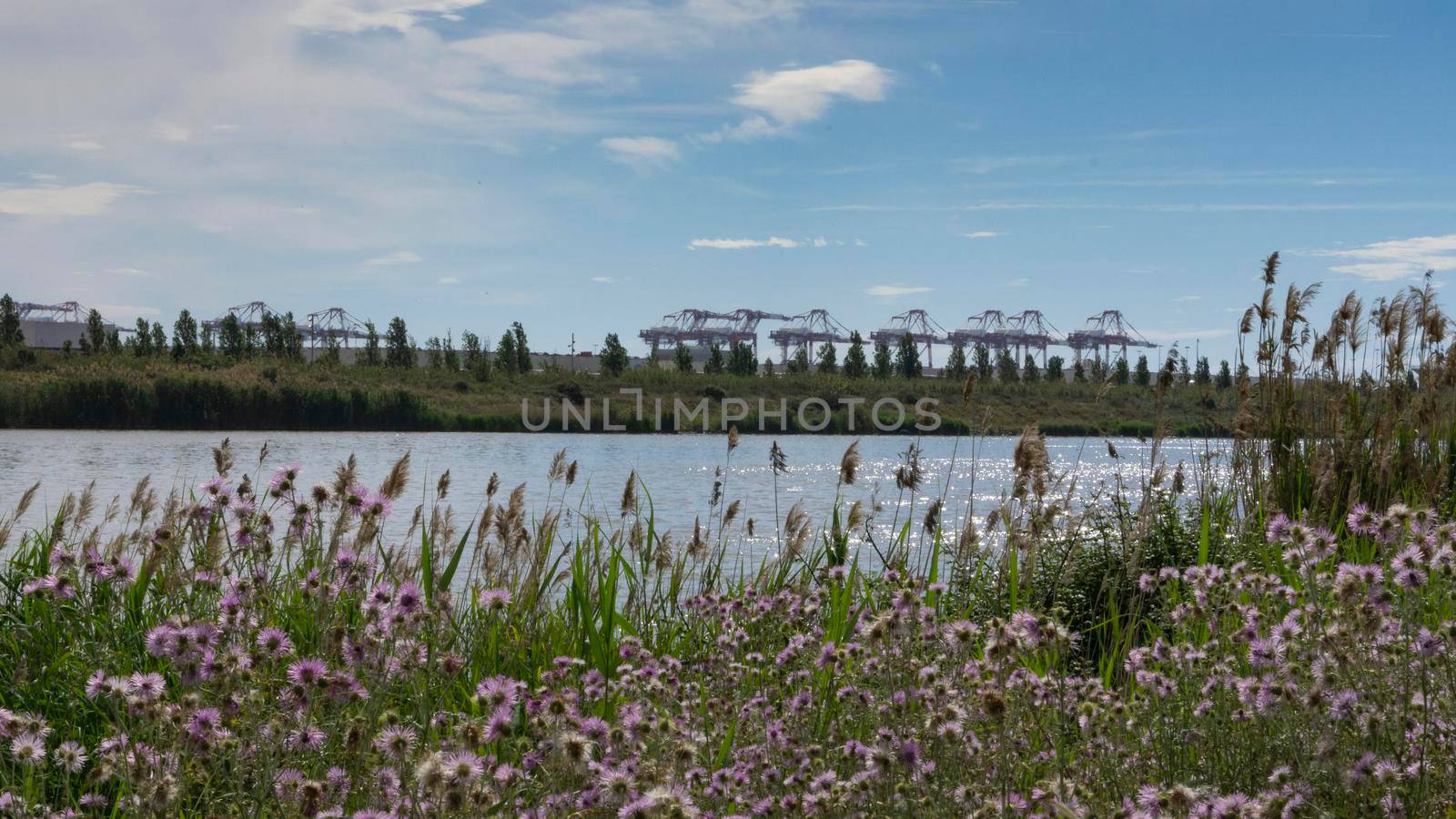 natural park on the outskirts of the city of barcelona by loopneo