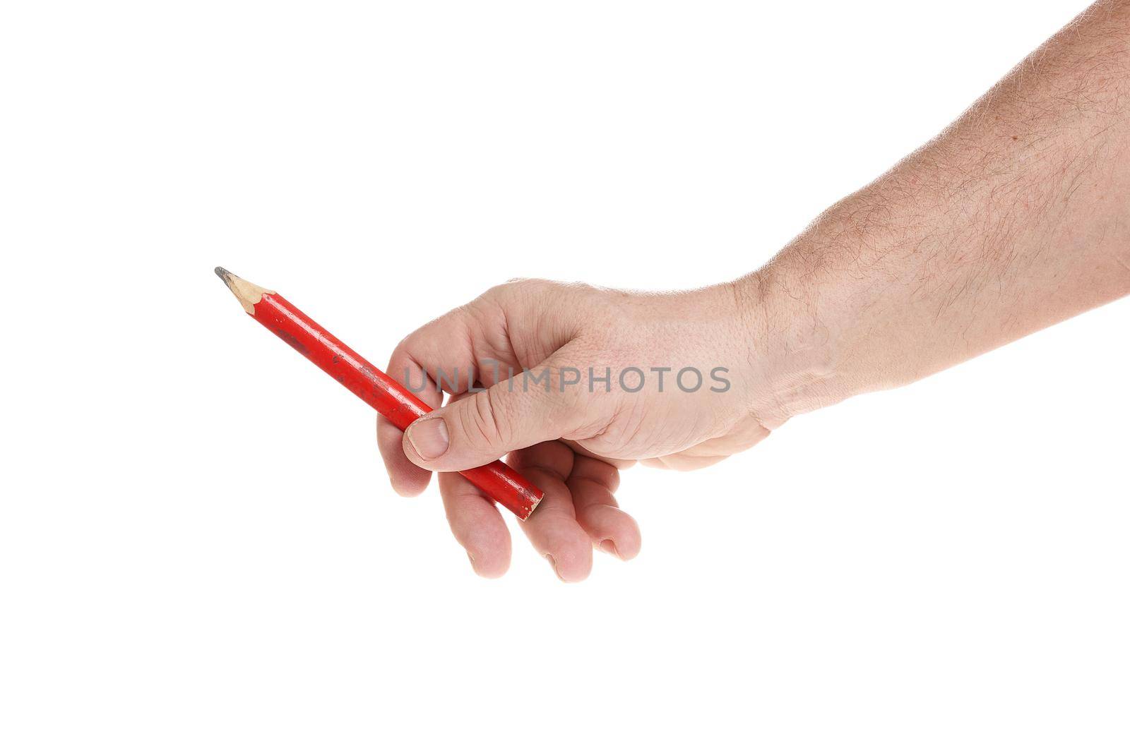Hand holds a red construction pencil on a white background, a template for designers.