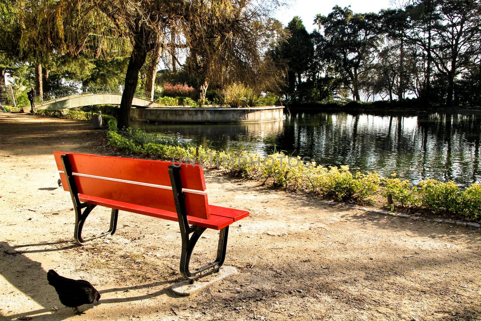 Red bench looking at the pond with ducks in the Idyllic Crystal Palace Garden in Oporto, Portugal