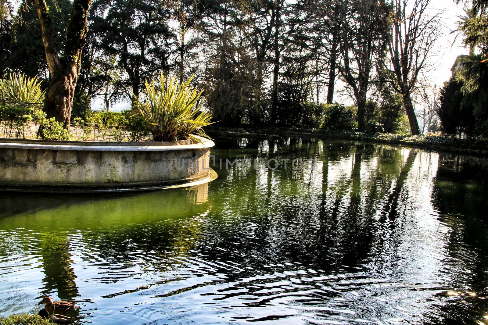 Oporto, Portugal- January 6, 2020: Beautiful pond with ducks in the Idyllic Crystal Palace Garden in Oporto, Portugal