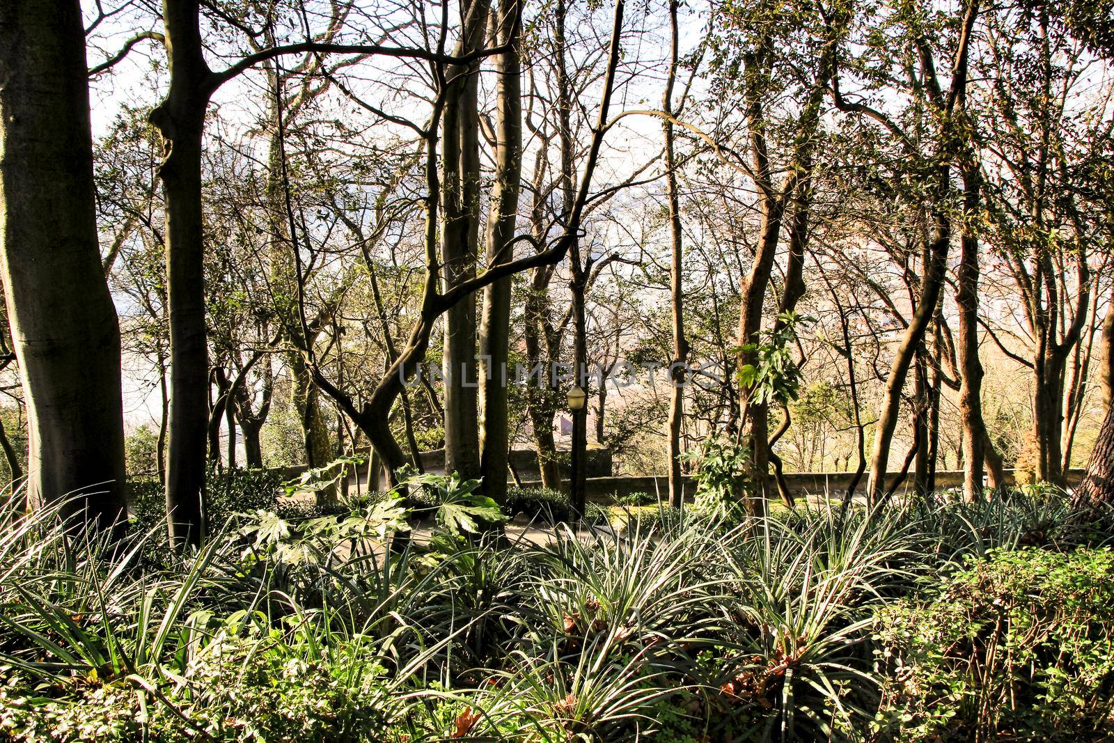 Oporto, Portugal- January 6, 2020: Beautiful and Idyllic Crystal Palace Gardens in Oporto, Portugal