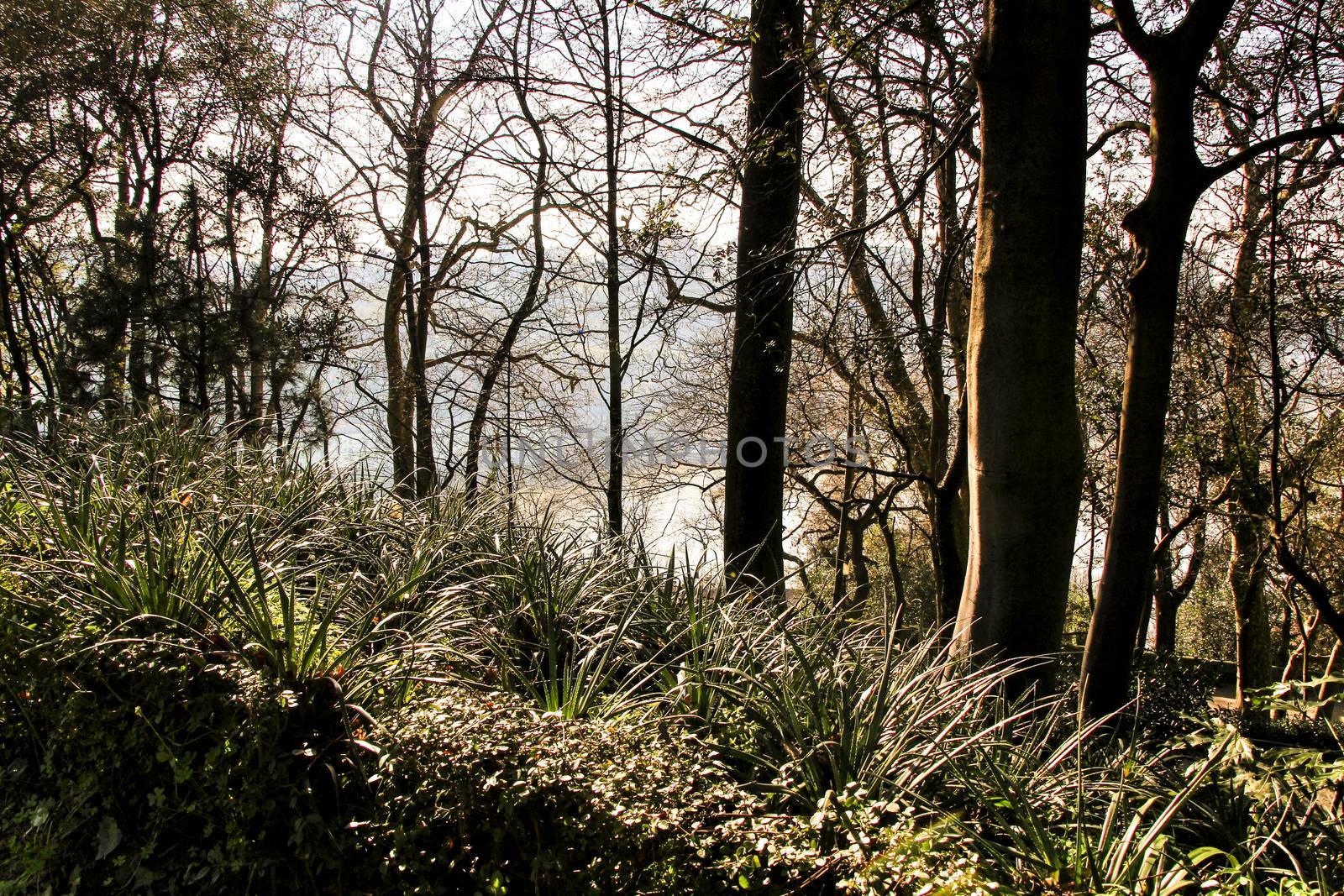 Oporto, Portugal- January 6, 2020: Beautiful and Idyllic Crystal Palace Gardens in Oporto, Portugal