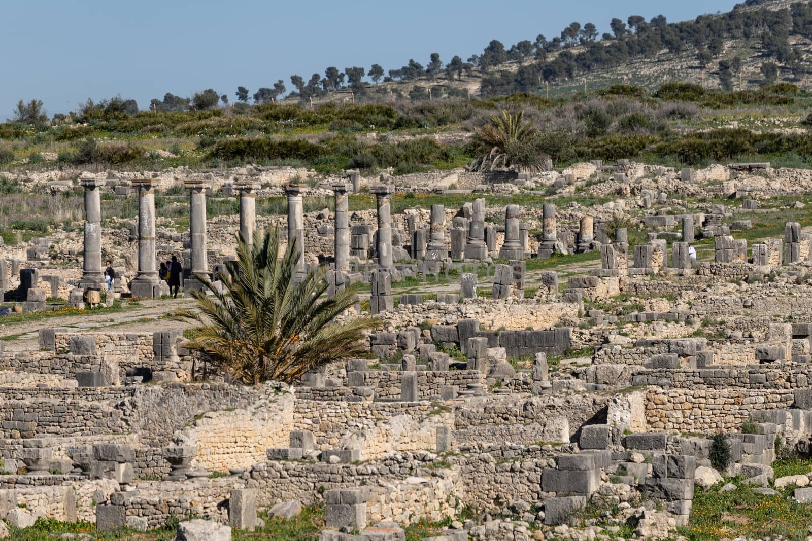 Volubilis is a site of Roman ruins and formerly a partly excavated Berber city in Morocco near the city of Meknes.The images show the ruined buildings and columns that are part of the large site High quality photo