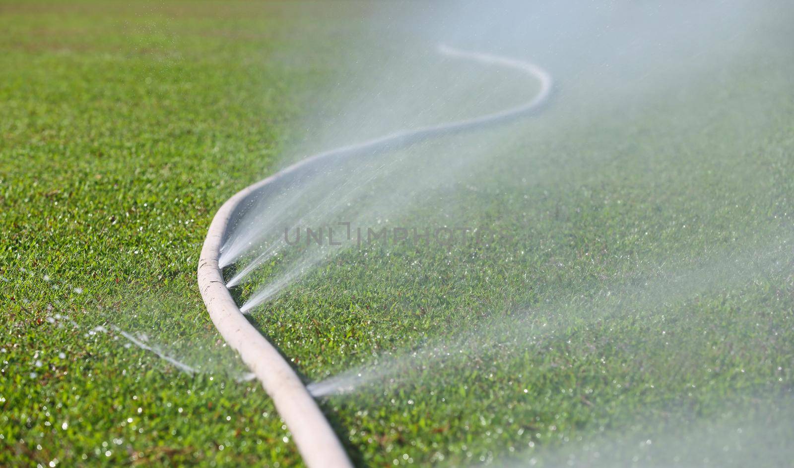 water leaking from hole in a hose