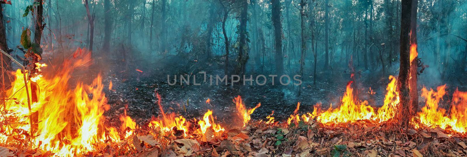 Australia bushfires, The fire is fueled by wind and heat. by toa55