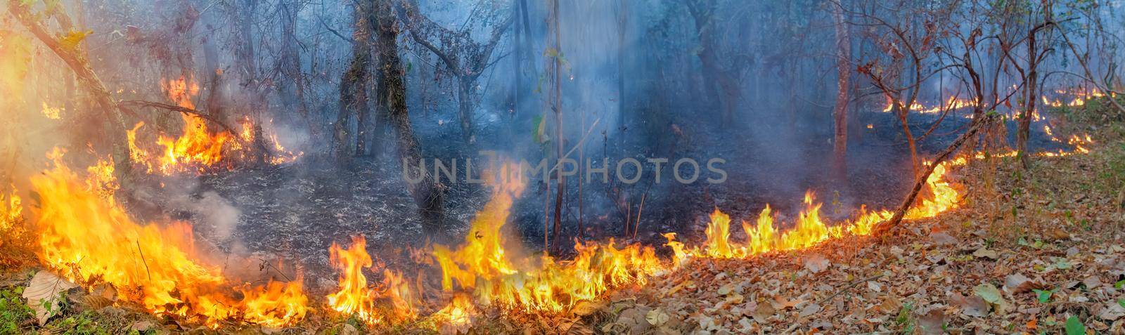 African forest fires in the Congo Basin ,Central Africa by toa55