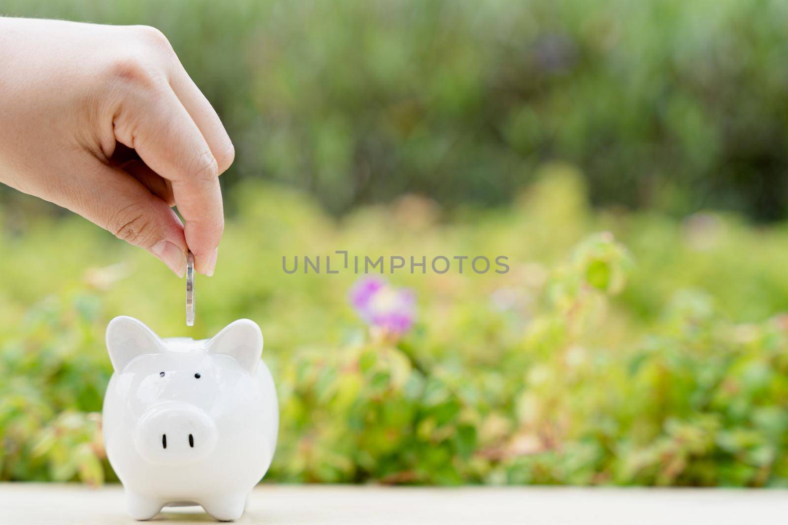 Hand putting money coin into piggy bank on blurred green natural background. Saving money and investment concept.