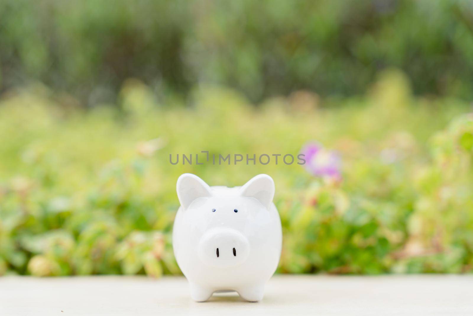 Piggy bank on blurred green natural background. Saving money and investment concept. by mikesaran