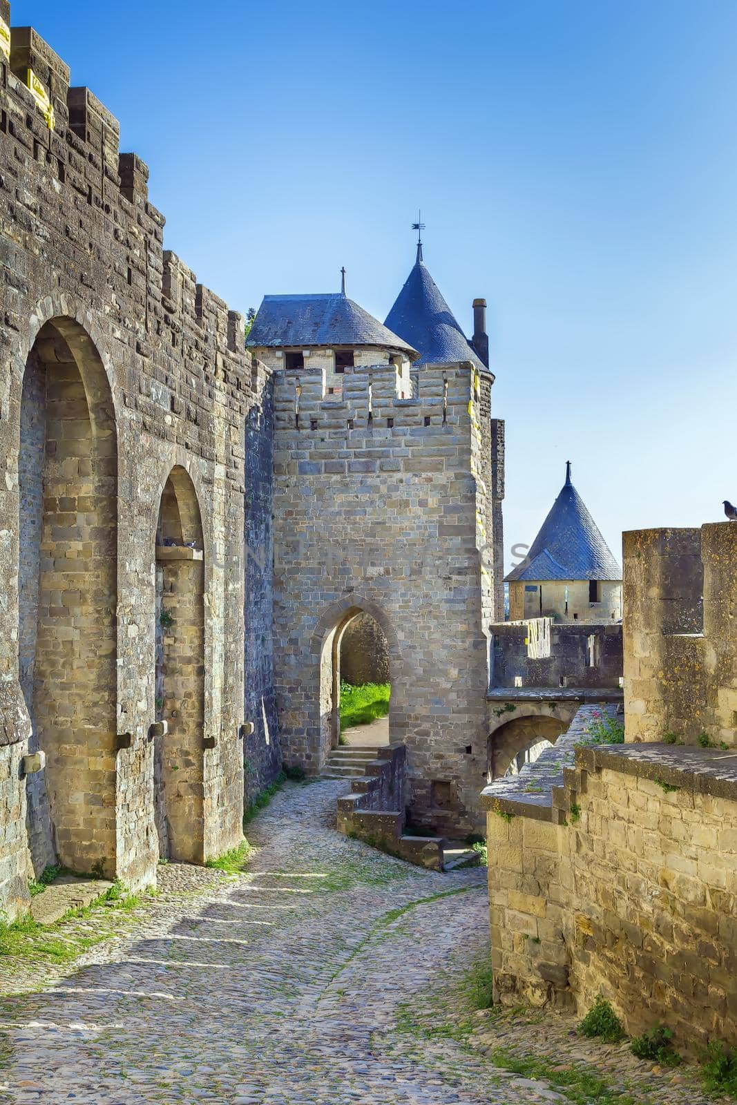 Cite de Carcassonne, France by borisb17