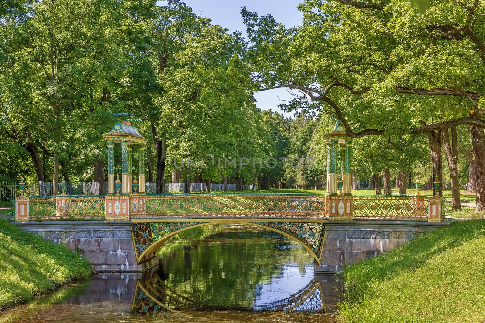 Small Chinese Bridges, Tsarskoye Selo, Russia by borisb17