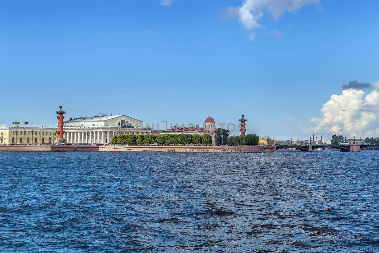 View of Vasilievsky Island,  Saint Petersburg, Russia by borisb17