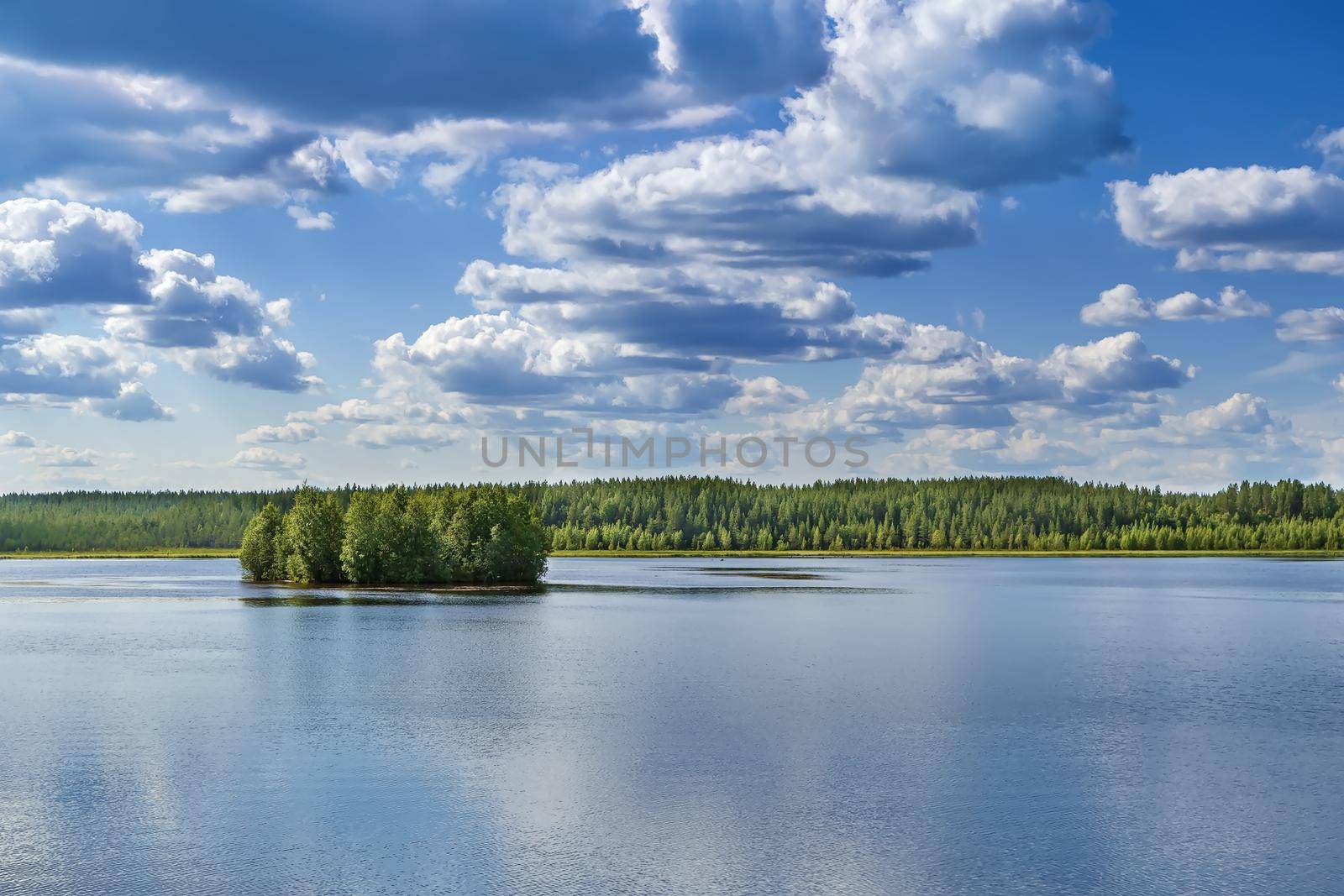 Landscape on the river Vyg, Russia by borisb17