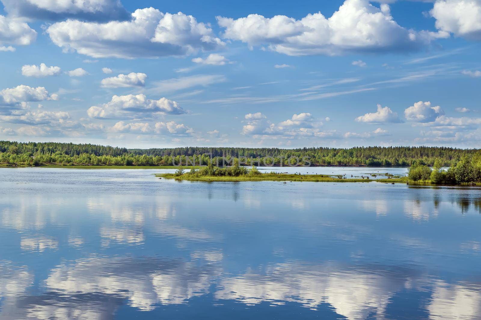 Landscape on the river Vyg, Russia by borisb17