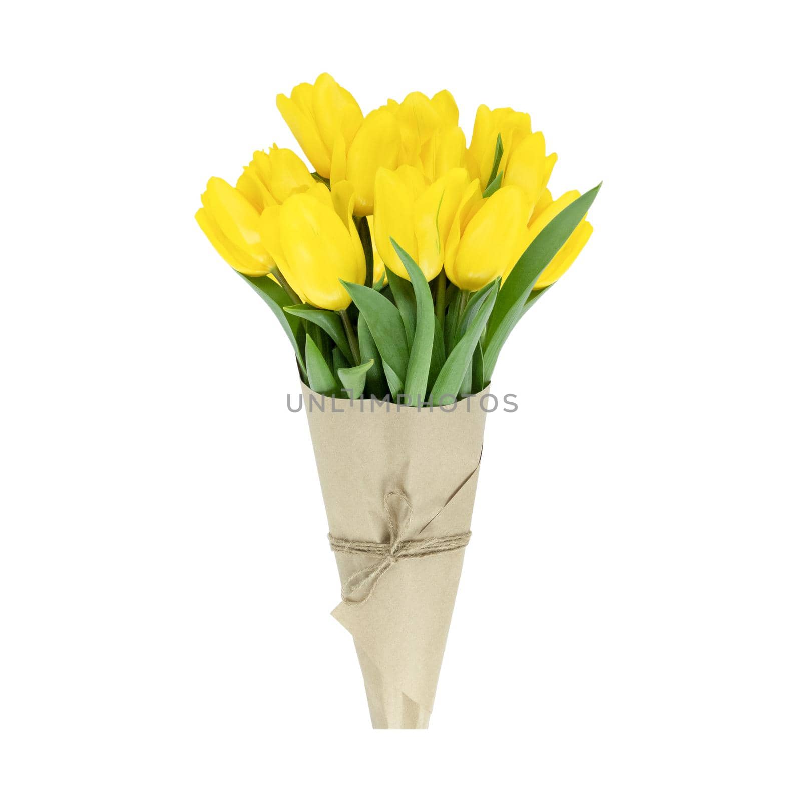 Bouquet of yellow tulips wrapped in craft paper isolated on white background. by anna_artist