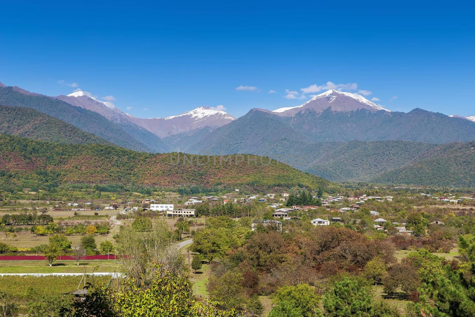 View of Alazani valley, Kakheti, Georgia by borisb17