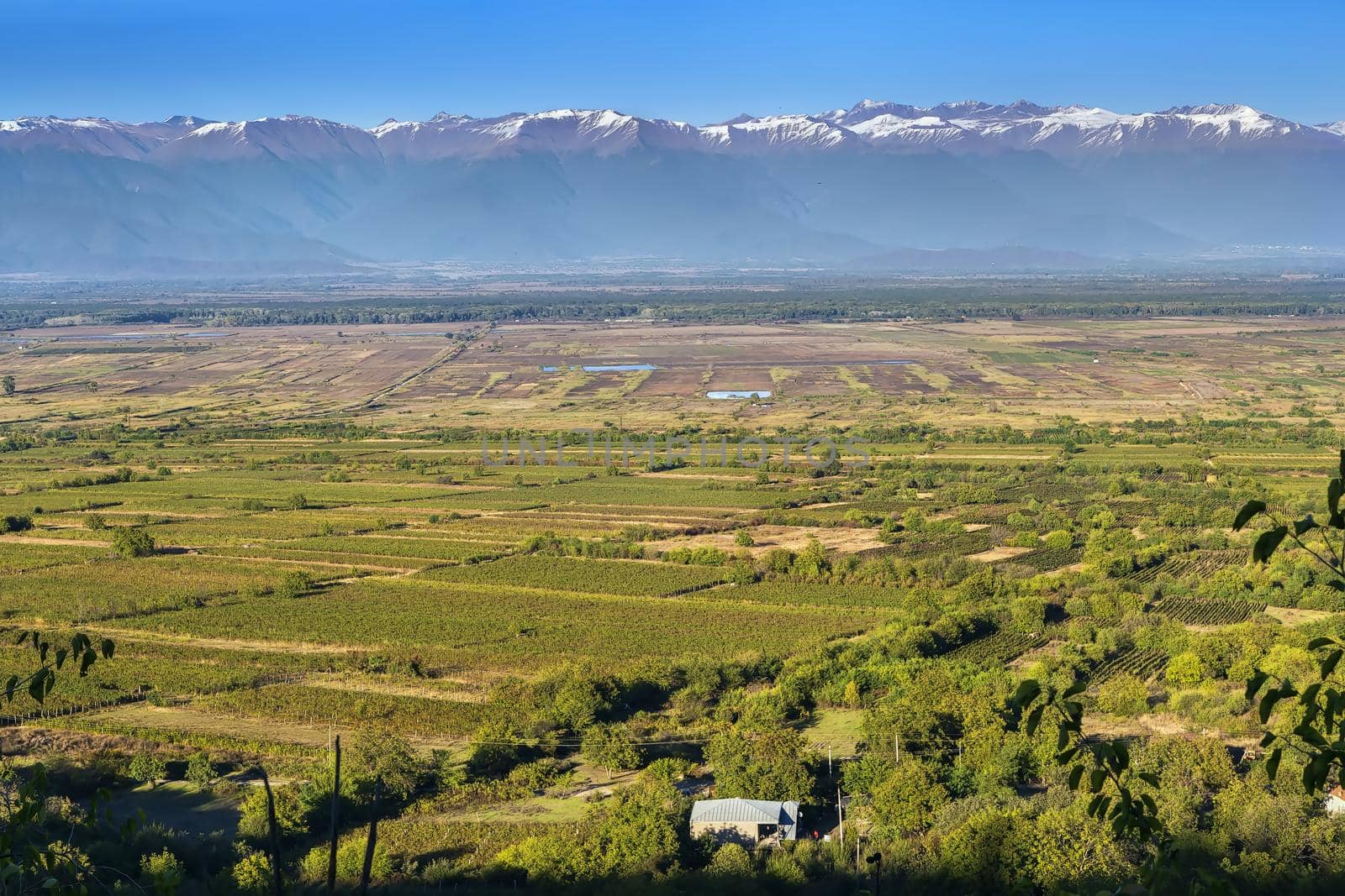 View of Alazani valley, Kakheti, Georgia by borisb17