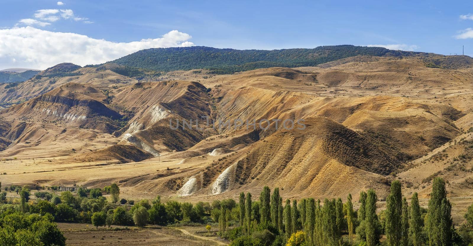 Landscape in southern Georgia along the Kura River