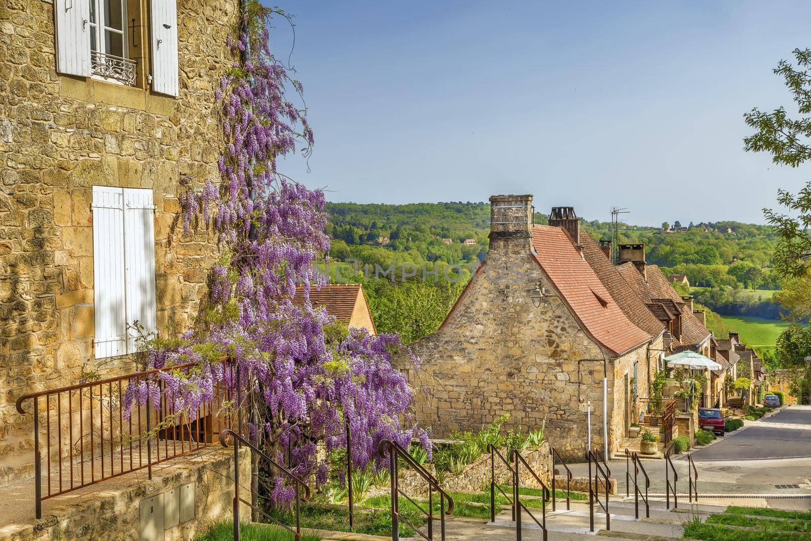 Street with Wisteria flowers in Domme, France