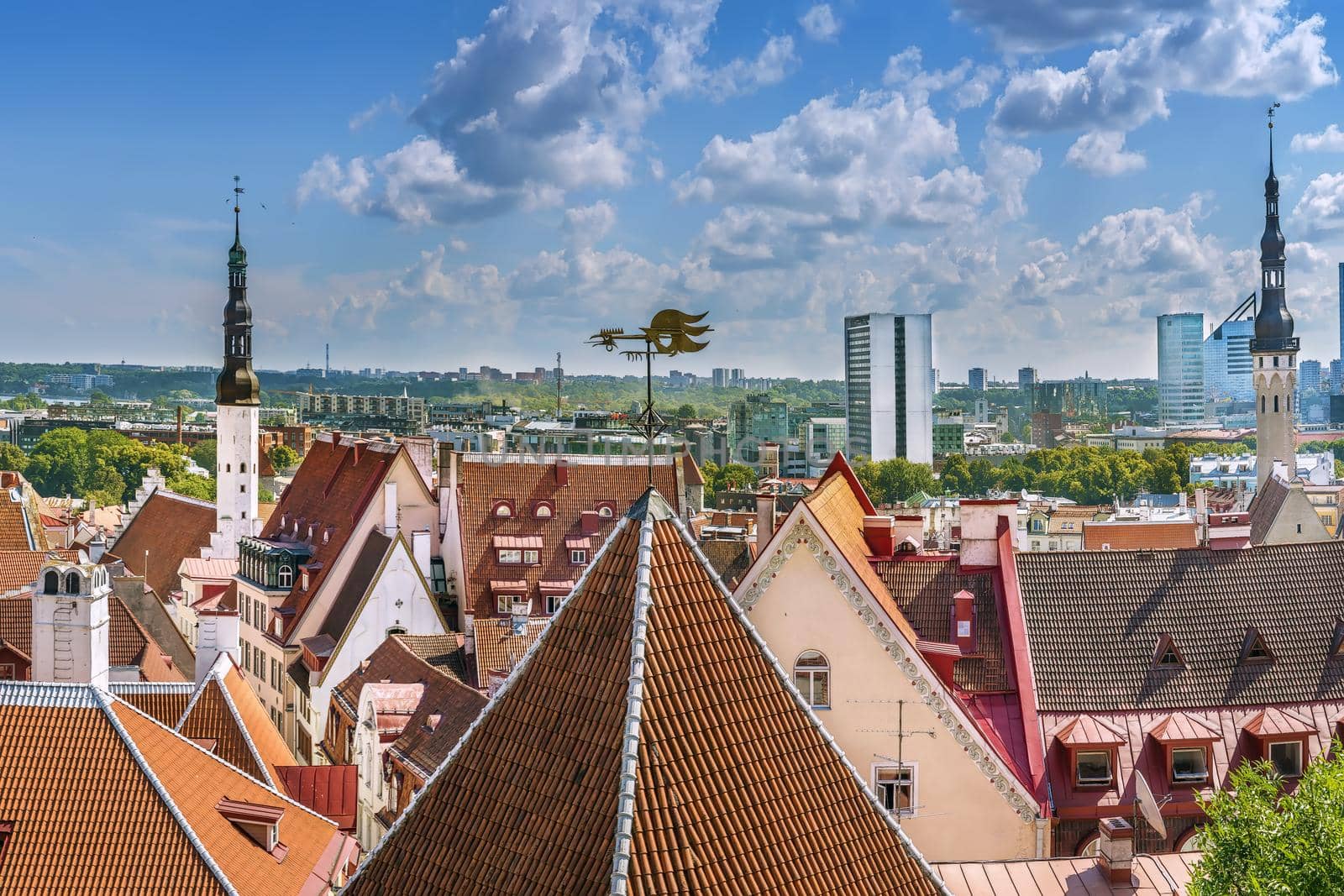 View of Tallinn old town from Toompea hill, Estonia